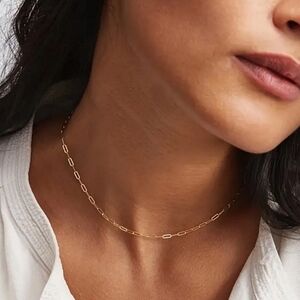 Anthropologie Small Gold Paperclip Chain Necklace